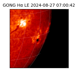 gong - 2024-08-27T07:00:42