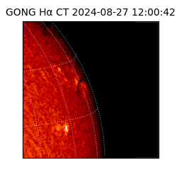 gong - 2024-08-27T12:00:42
