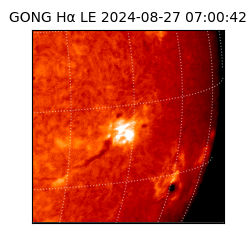 gong - 2024-08-27T07:00:42