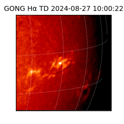 gong - 2024-08-27T10:00:22