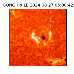 gong - 2024-08-27T06:00:42