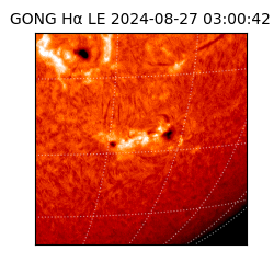 gong - 2024-08-27T03:00:42