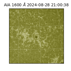 saia - 2024-08-28T21:00:38.126000