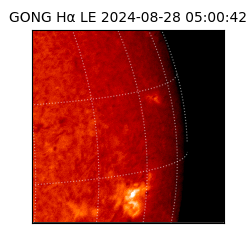 gong - 2024-08-28T05:00:42