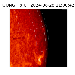 gong - 2024-08-28T21:00:42