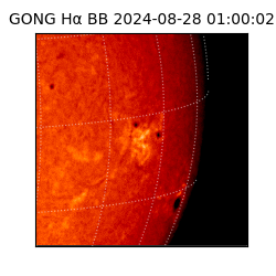 gong - 2024-08-28T01:00:02