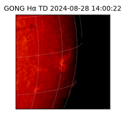 gong - 2024-08-28T14:00:22