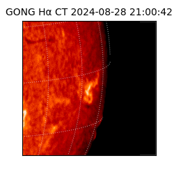 gong - 2024-08-28T21:00:42