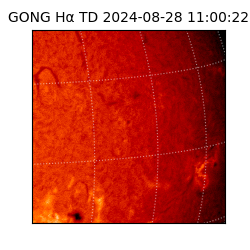 gong - 2024-08-28T11:00:22
