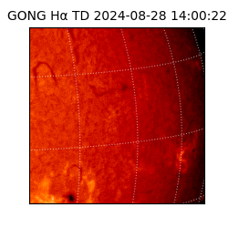 gong - 2024-08-28T14:00:22