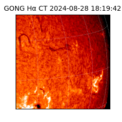 gong - 2024-08-28T18:19:42