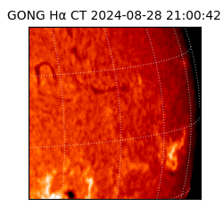 gong - 2024-08-28T21:00:42