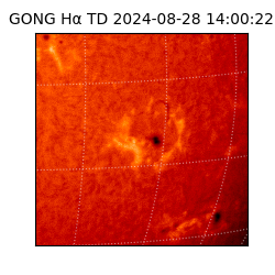 gong - 2024-08-28T14:00:22