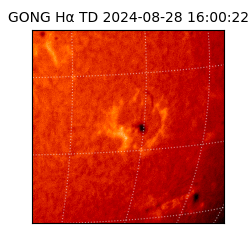 gong - 2024-08-28T16:00:22
