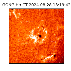gong - 2024-08-28T18:19:42