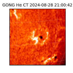gong - 2024-08-28T21:00:42