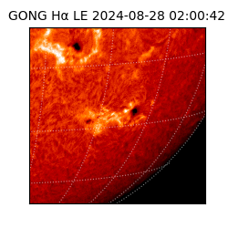 gong - 2024-08-28T02:00:42