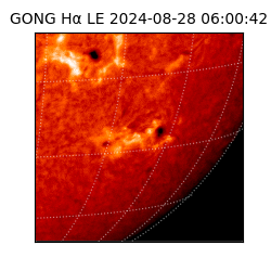 gong - 2024-08-28T06:00:42