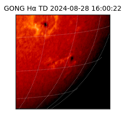 gong - 2024-08-28T16:00:22