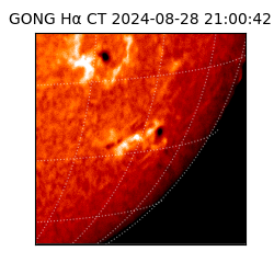 gong - 2024-08-28T21:00:42