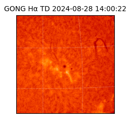 gong - 2024-08-28T14:00:22
