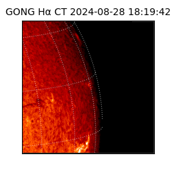 gong - 2024-08-28T18:19:42