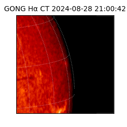 gong - 2024-08-28T21:00:42