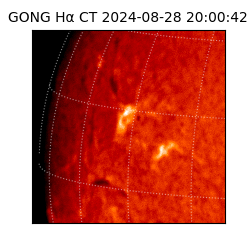 gong - 2024-08-28T20:00:42