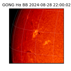 gong - 2024-08-28T22:00:02