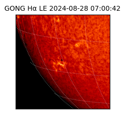 gong - 2024-08-28T07:00:42