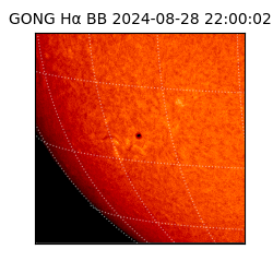 gong - 2024-08-28T22:00:02