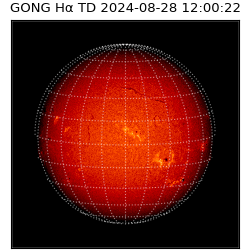 gong - 2024-08-28T12:00:22