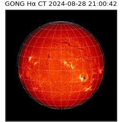 gong - 2024-08-28T21:00:42