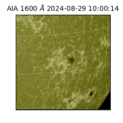 saia - 2024-08-29T10:00:14.130000