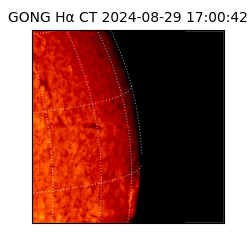 gong - 2024-08-29T17:00:42