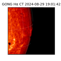 gong - 2024-08-29T19:01:42