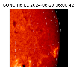 gong - 2024-08-29T06:00:42