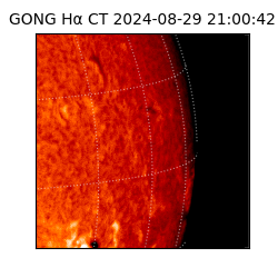 gong - 2024-08-29T21:00:42