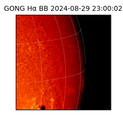 gong - 2024-08-29T23:00:02