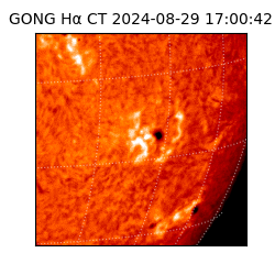 gong - 2024-08-29T17:00:42