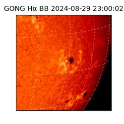 gong - 2024-08-29T23:00:02