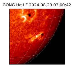 gong - 2024-08-29T03:00:42