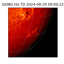 gong - 2024-08-29T09:00:22