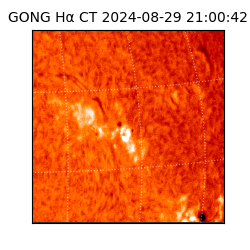 gong - 2024-08-29T21:00:42