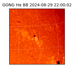 gong - 2024-08-29T22:00:02