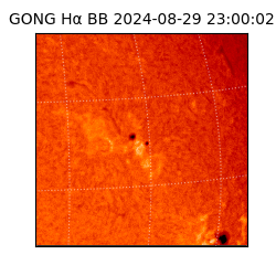 gong - 2024-08-29T23:00:02