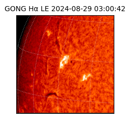 gong - 2024-08-29T03:00:42