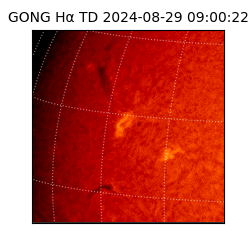 gong - 2024-08-29T09:00:22