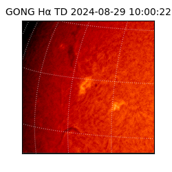 gong - 2024-08-29T10:00:22