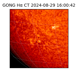gong - 2024-08-29T16:00:42